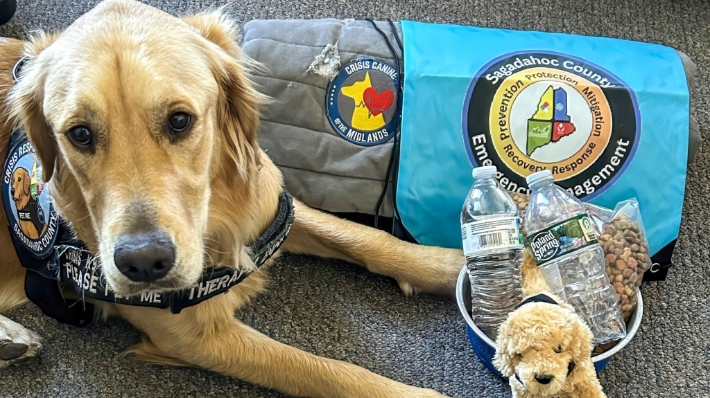 Autel Thermal Drone And Therapy Pup Team Up In Maine Autel Thermal Drone And Therapy Pup Team Up In Maine | ADrones | 1