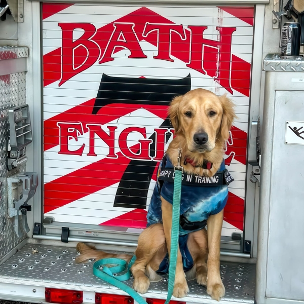 Autel Thermal Drone And Therapy Pup Team Up In Maine Autel Thermal Drone And Therapy Pup Team Up In Maine | ADrones | 5