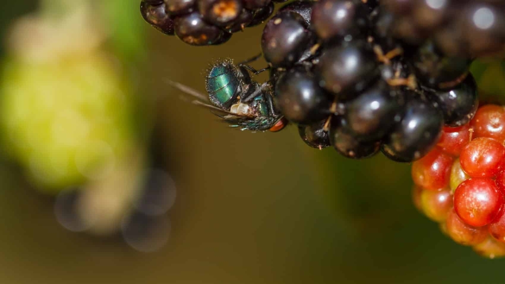 China Studies Predators To Train AI Drones China Studies Predators To Train AI Drones | ADrones | 4