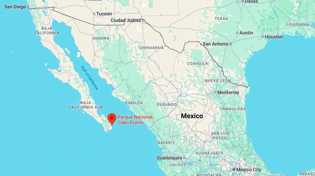 DJI Drones Catch Orcas Hunting Great Whites In Mexico DJI Drones Catch Orcas Hunting Great Whites In Mexico | ADrones | 2