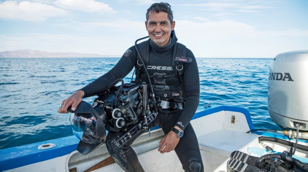 DJI Drones Catch Orcas Hunting Great Whites In Mexico DJI Drones Catch Orcas Hunting Great Whites In Mexico | ADrones | 3