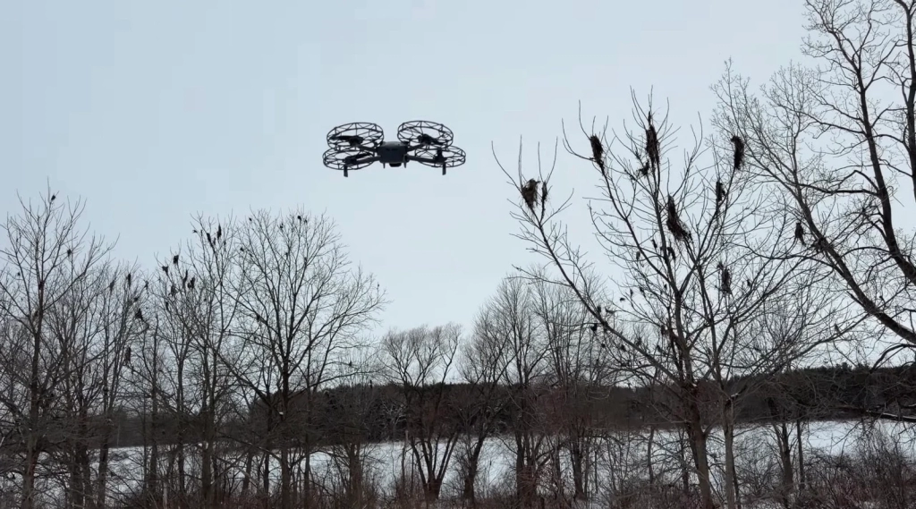 DJI Mini 5 Pro Prop Guards Hands-On: The Firmware Restrictions Nobody Mentioned DJI Mini 5 Pro Prop Guards Hands-On: The Firmware Restrictions Nobody Mentioned | ADrones | 8