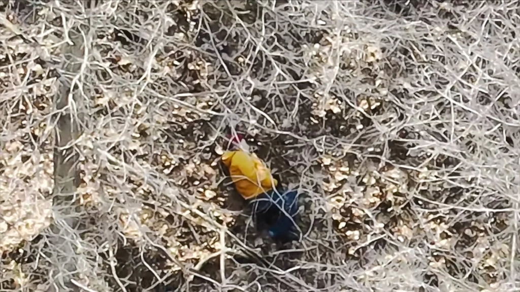 Drone Finds Injured Man In Iowa Ravine Drone Finds Injured Man In Iowa Ravine | ADrones | 4