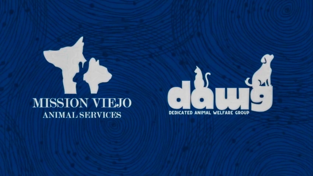 Drone Helps Reunite Lost Dog With Her Owner In Mission Viejo Drone Helps Reunite Lost Dog With Her Owner In Mission Viejo | ADrones | 4