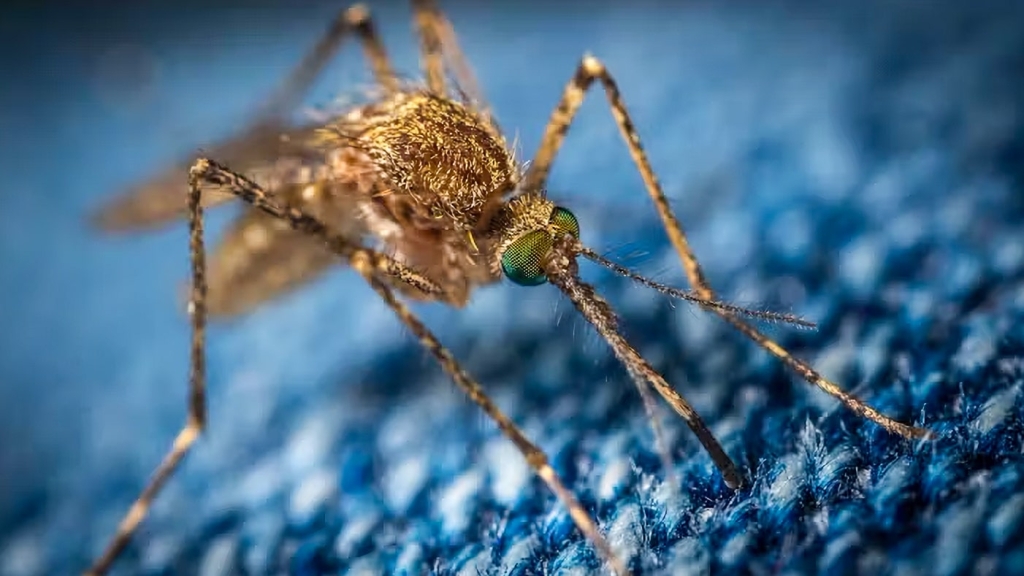 Drones Buzz Utah Skies To Zap Mosquitoes And West Nile Virus Drones Buzz Utah Skies To Zap Mosquitoes And West Nile Virus | ADrones | 3