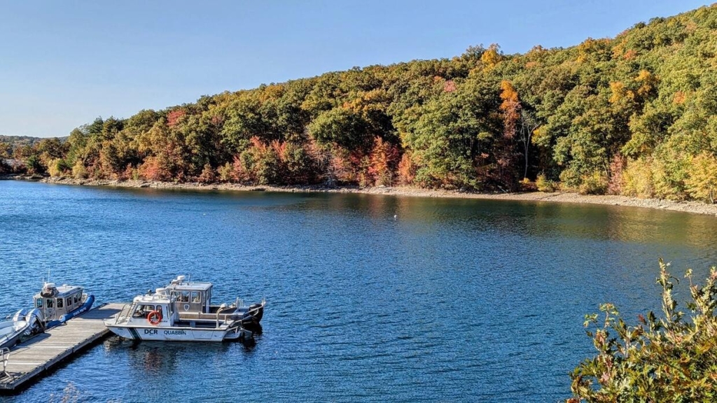 Drones Prove Deer Hunt Was Needed At Quabbin Park Drones Prove Deer Hunt Was Needed At Quabbin Park | ADrones | 2