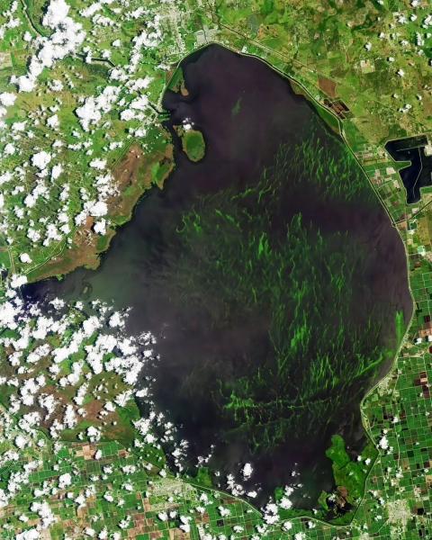 Drones Will Hunt Toxic Algae Across Florida's Lake Okeechobee Drones Will Hunt Toxic Algae Across Florida's Lake Okeechobee | ADrones | 4