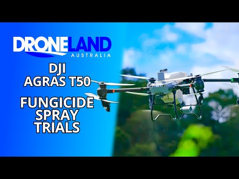 Drones Zap Weeds From The Sky: The Pasture Management Drones Zap Weeds From The Sky: The Pasture Management | ADrones | 3