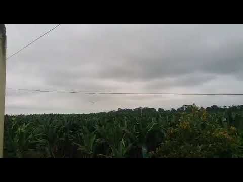 Drones Zap Weeds From The Sky: The Pasture Management Drones Zap Weeds From The Sky: The Pasture Management | ADrones | 6