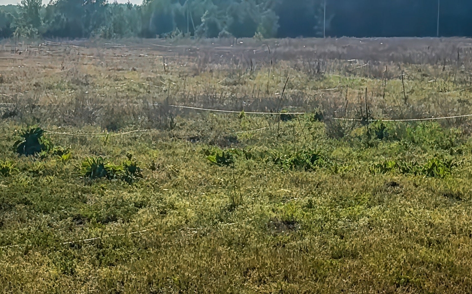 Fiber Optic Drone Webs Are Reshaping Ukraine's Battlefields Fiber Optic Drone Webs Are Reshaping Ukraine’s Battlefields | ADrones | 4