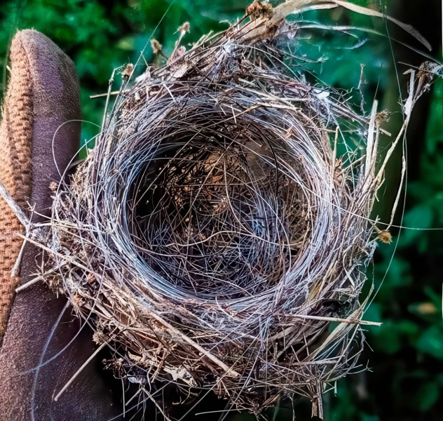 Fiber Optic Drone Webs Are Reshaping Ukraine's Battlefields Fiber Optic Drone Webs Are Reshaping Ukraine’s Battlefields | ADrones | 5