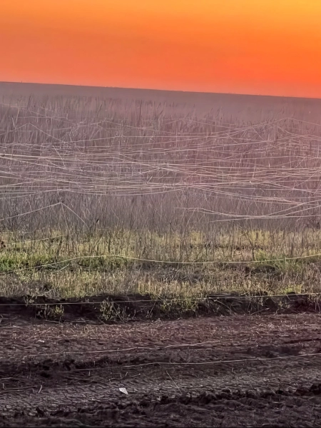 Fiber Optic Drone Webs Are Reshaping Ukraine's Battlefields Fiber Optic Drone Webs Are Reshaping Ukraine’s Battlefields | ADrones | 2