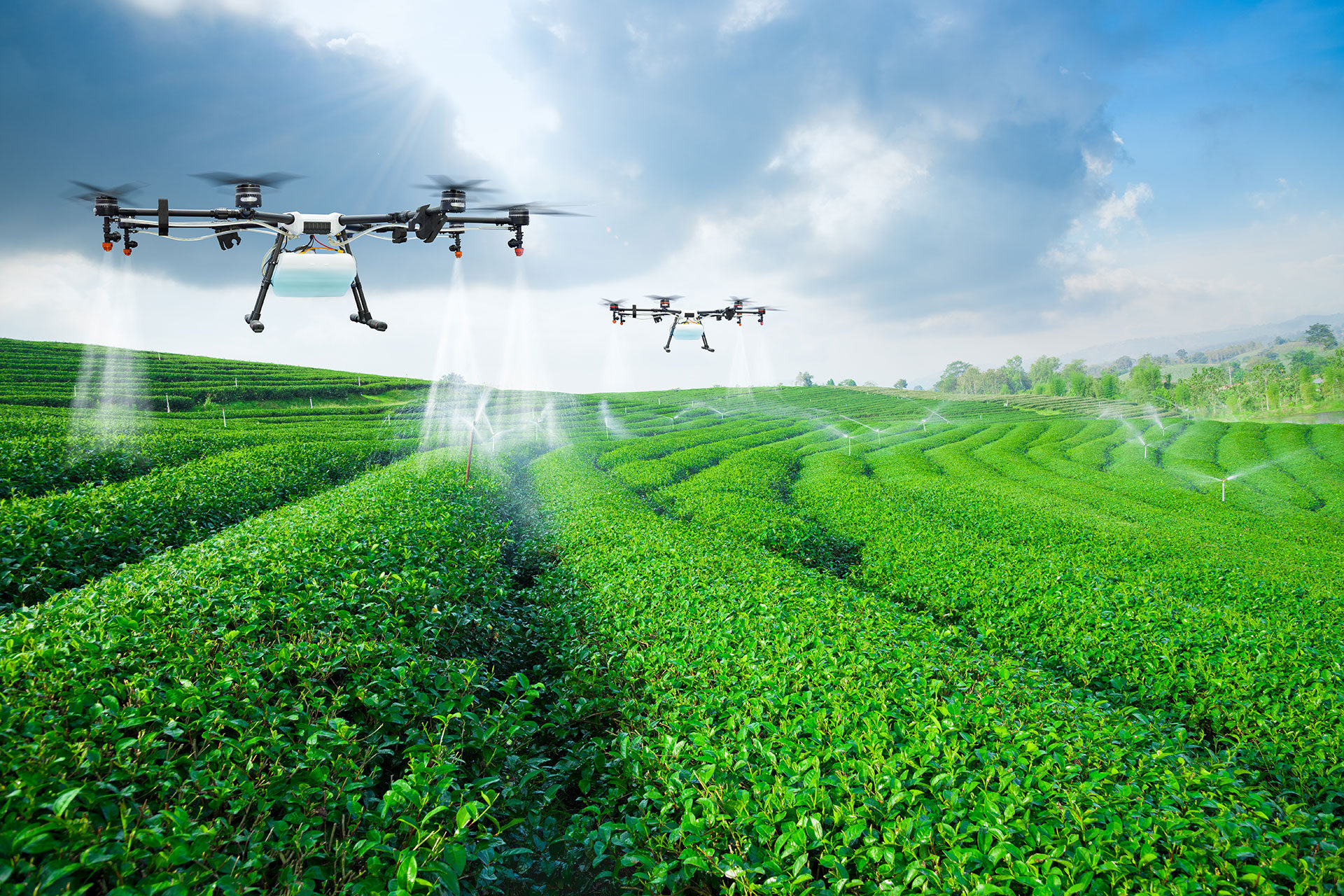 Agriculture drone research paper