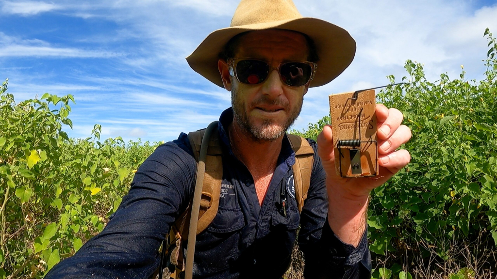 Innovative Drone-Based Mouse Eradication Program Completes Six-Month Review on Browse Island Innovative Drone-Based Mouse Eradication Program Completes Six-Month Review on Browse Island | ADrones | 1