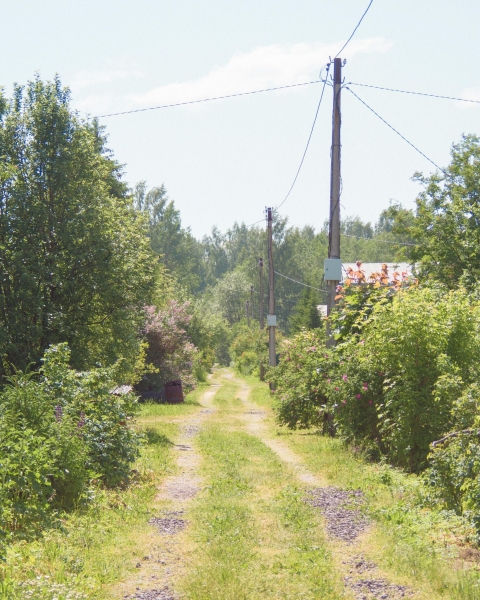 Leveraging Point Clouds for Vegetation Encroachment Assessment: A Drone-Enabled Approach | ADrones | 1