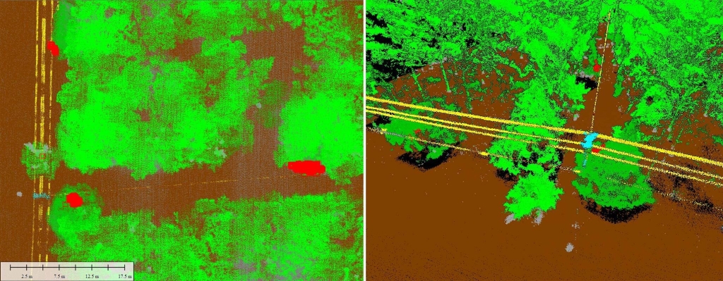 Leveraging Point Clouds for Vegetation Encroachment Assessment: A Drone-Enabled Approach | ADrones | 4