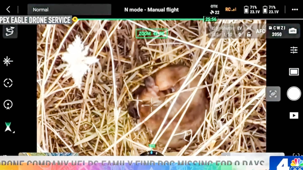Lost Dog Found By Drone After 9 Days In New Jersey Lost Dog Found By Drone After 9 Days In New Jersey | ADrones | 1