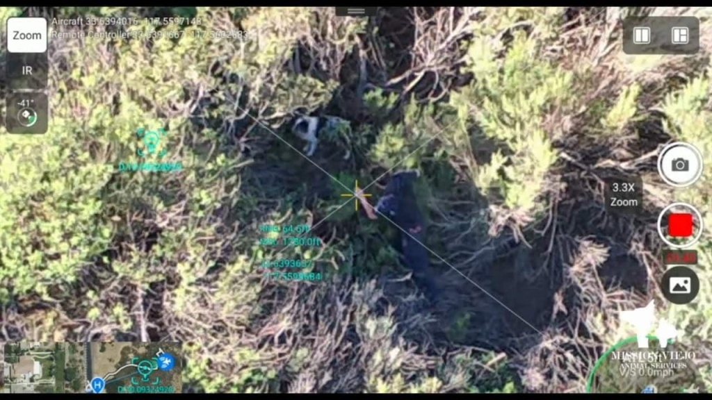 Mission Viejo's Third Thermal Drone Dog Rescue Proves This Tech Isn't A Gimmick Mission Viejo's Third Thermal Drone Dog Rescue Proves This Tech Isn't A Gimmick | ADrones | 1