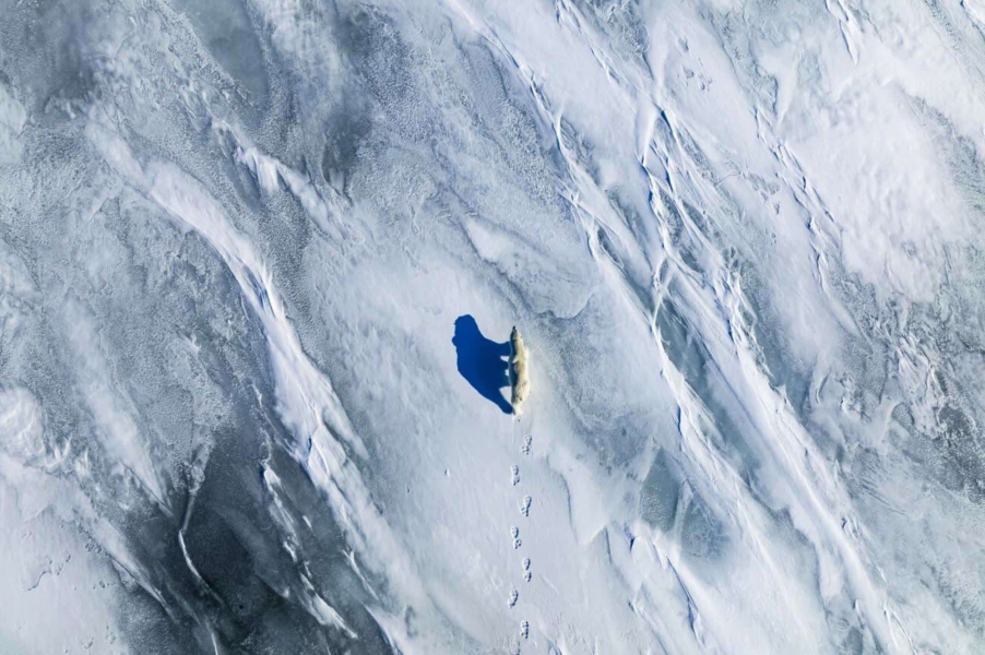 NATO's Arctic Drone Gap Is Widening NATO’s Arctic Drone Gap Is Widening | ADrones | 2