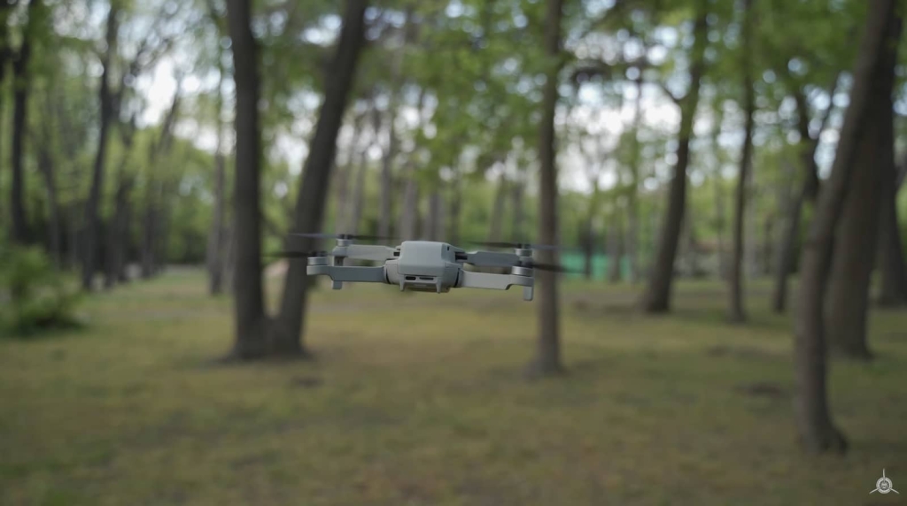 New Best Cheap Drone: The $299 DJI Mini 4K! | ADrones | 9