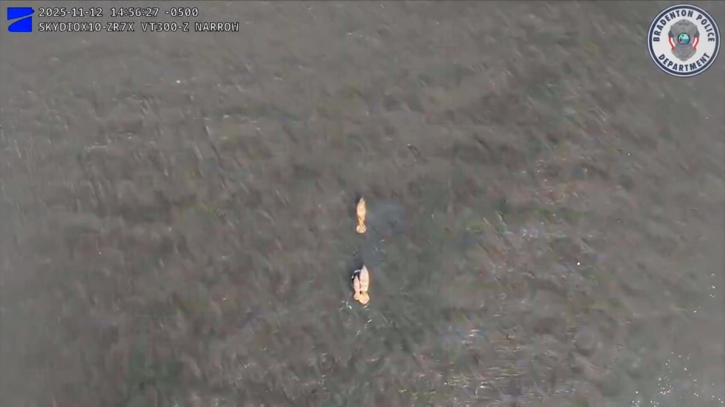 Police Drone Spots Manatees And Dolphin In Florida River Police Drone Spots Manatees And Dolphin In Florida River | ADrones | 4