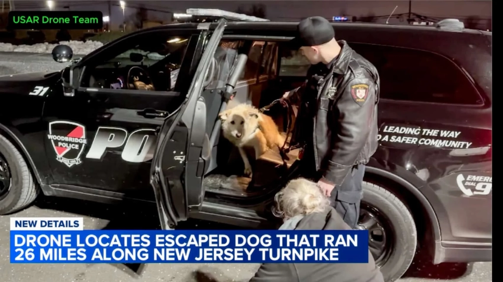 Runaway Retriever Vs The Turnpike, Drones Win Runaway Retriever Vs The Turnpike, Drones Win | ADrones | 2