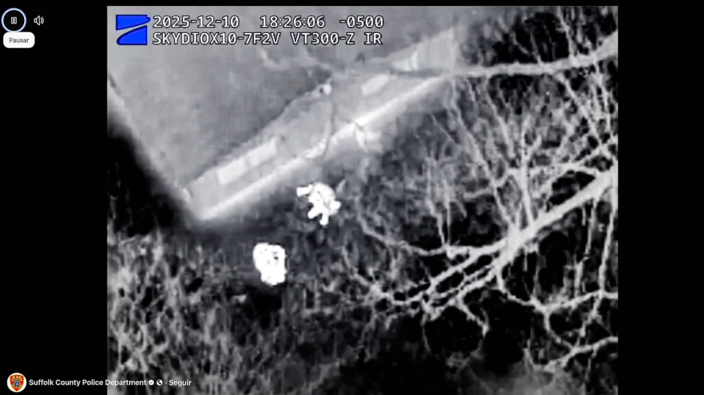 Skydio X10 Drone Nails Shoplifting Suspect On Long Island Skydio X10 Drone Nails Shoplifting Suspect On Long Island | ADrones | 1