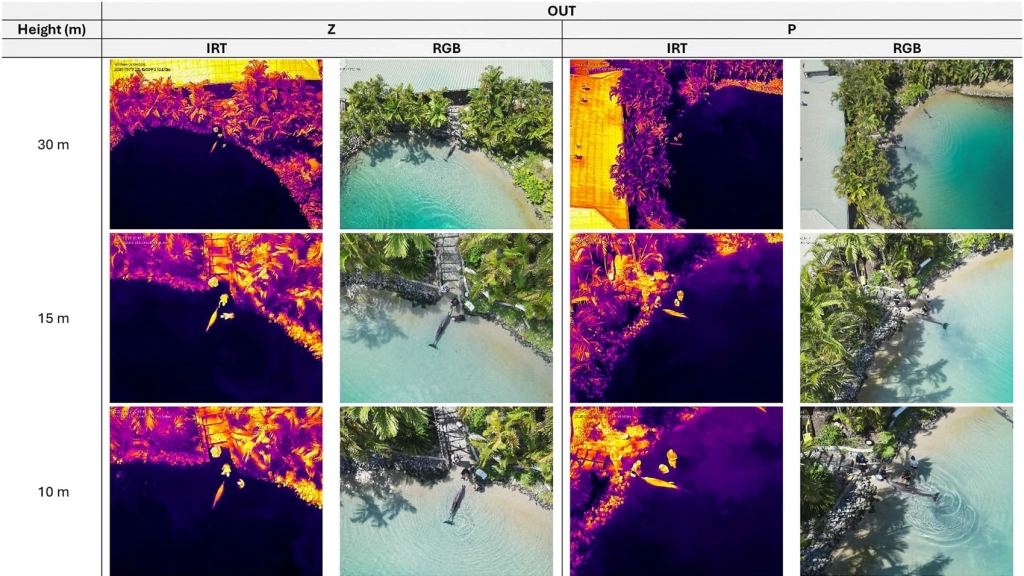 Thermal Drones Are Keeping An Eye On Dolphins Thermal Drones Are Keeping An Eye On Dolphins | ADrones | 4